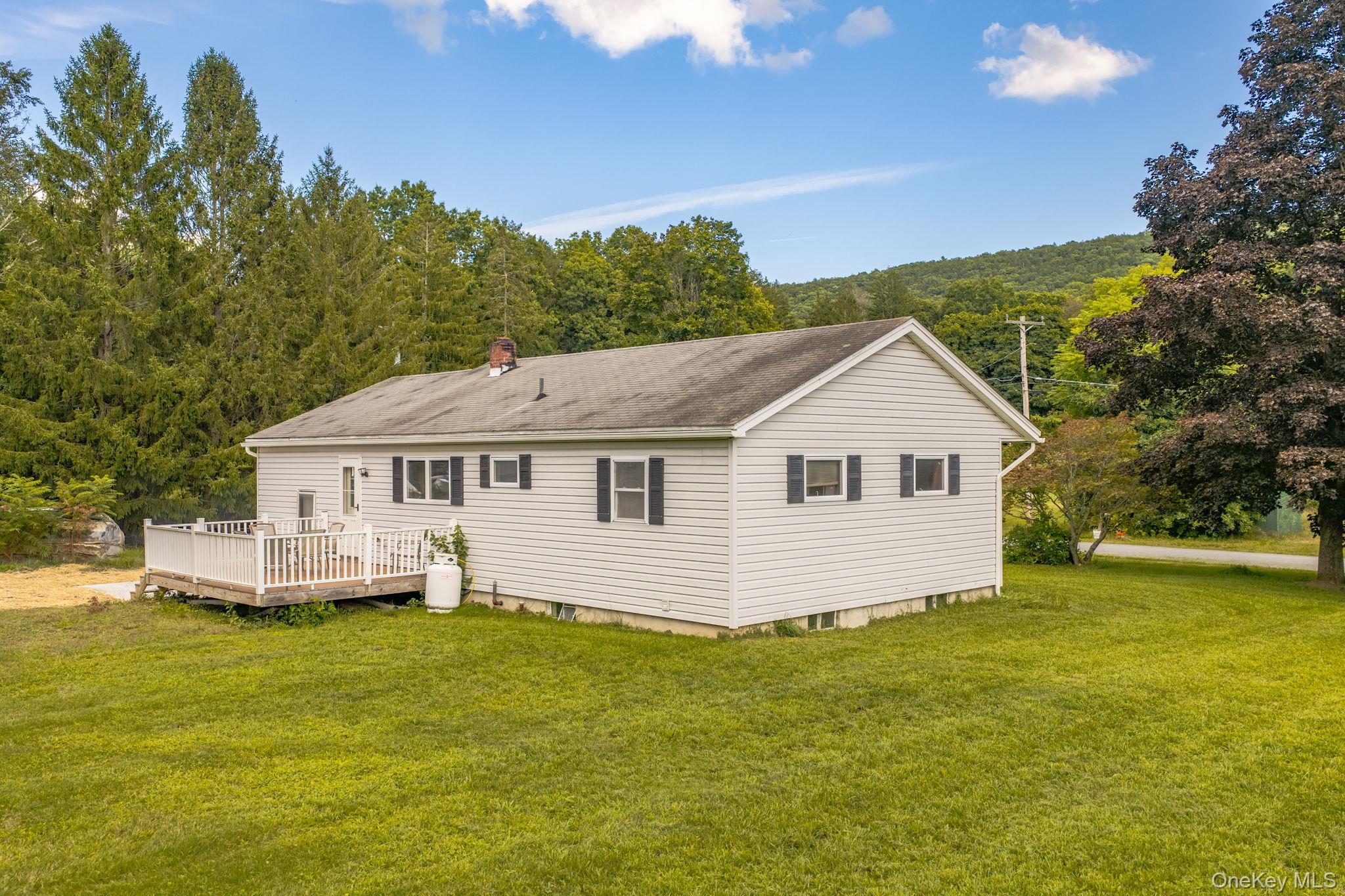 Single Family Wihelmina Street Orange County, NY 12771, MLS-1038134-4