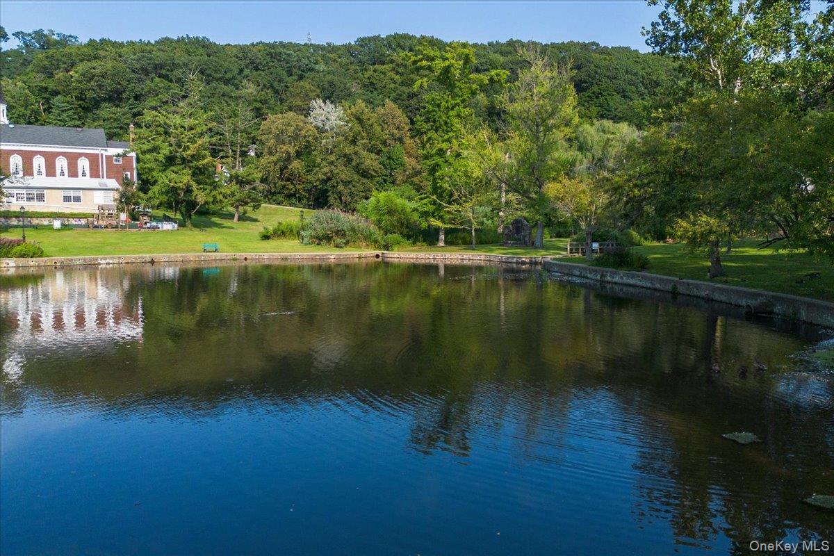 Single Family Main Street Nassau County, NY 11576, MLS-1038137-32
