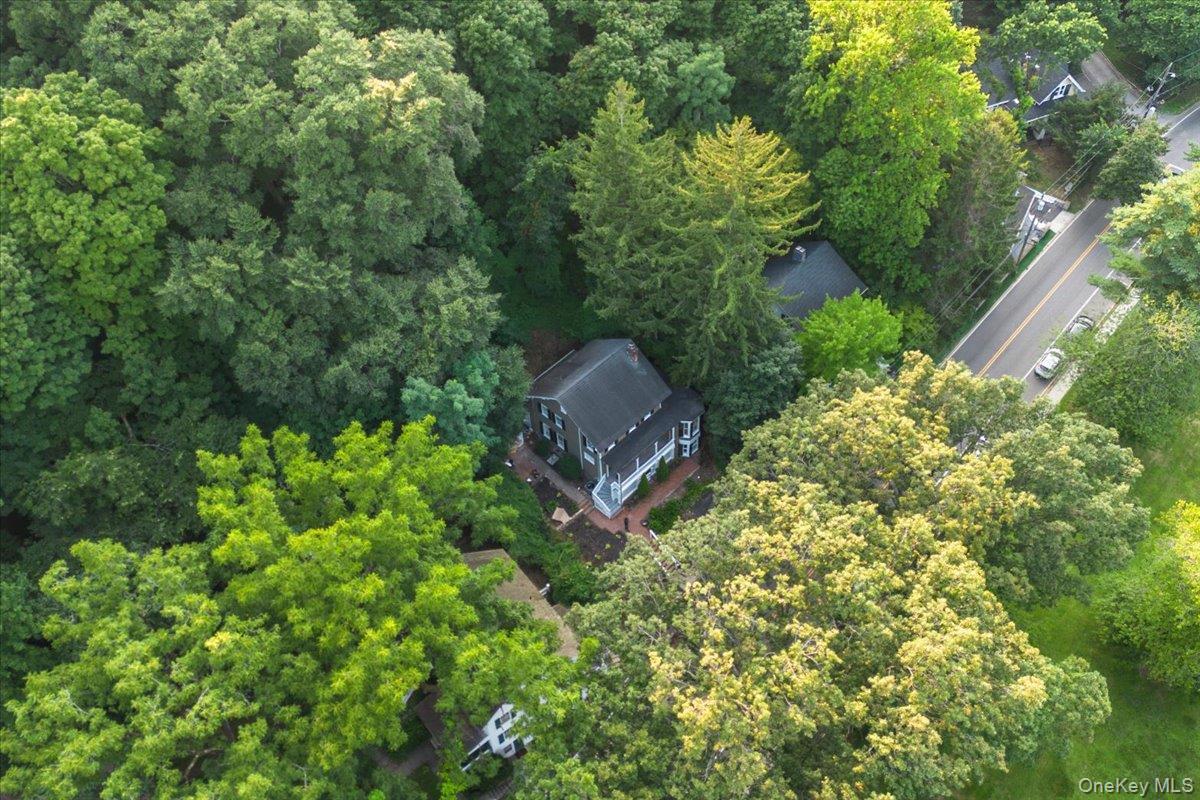 Single Family Main Street Nassau County, NY 11576, MLS-1038137-35