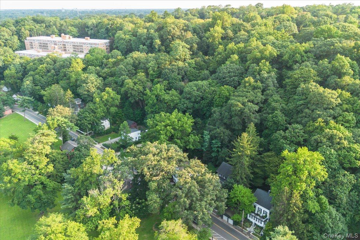 Single Family Main Street Nassau County, NY 11576, MLS-1038137-36
