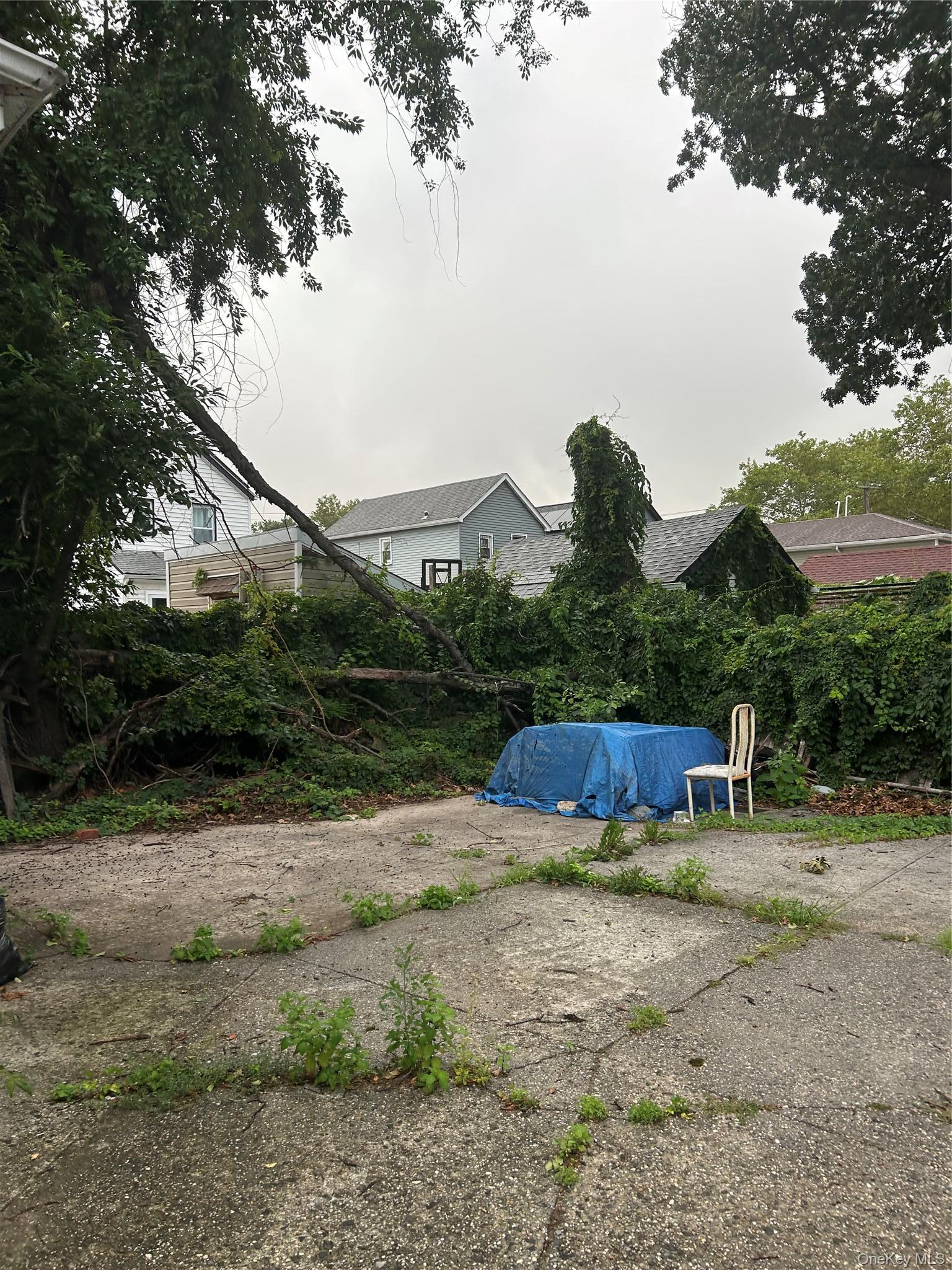 Single Family 148th Street  Queens, NY 11436, MLS-1038168-4