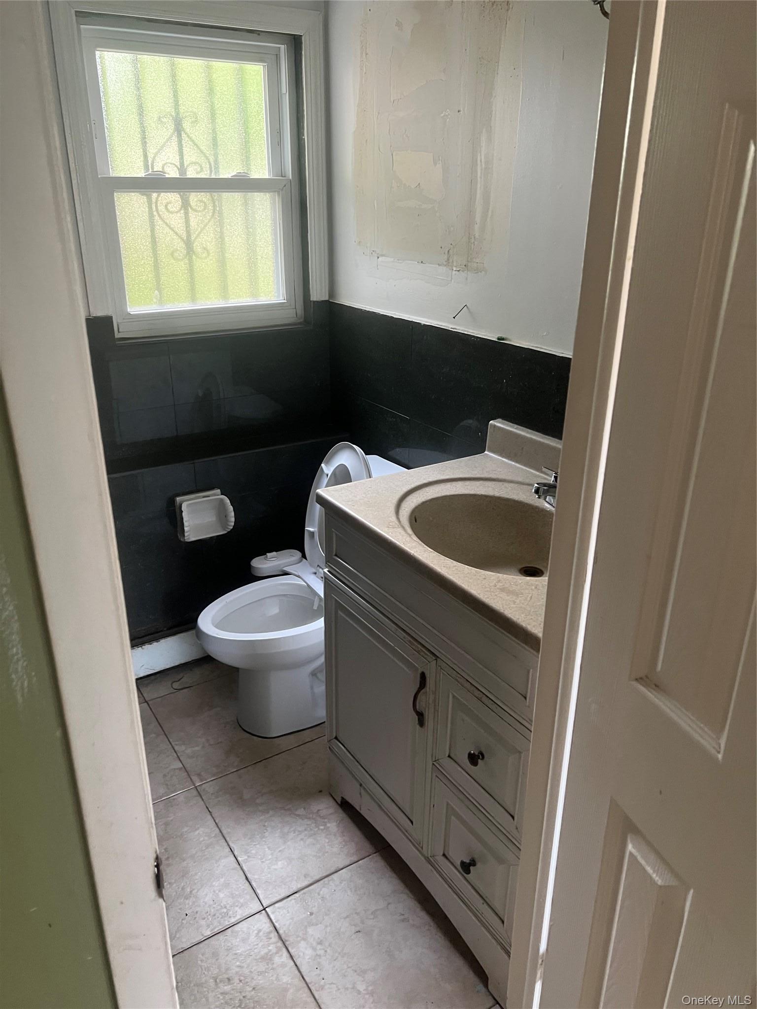 Single Family Peters Avenue Nassau County, NY 11550, MLS-1038180-12