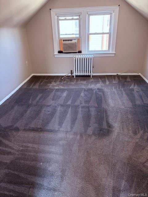 Single Family Alpha Street Nassau County, NY 11003, MLS-1038196-12