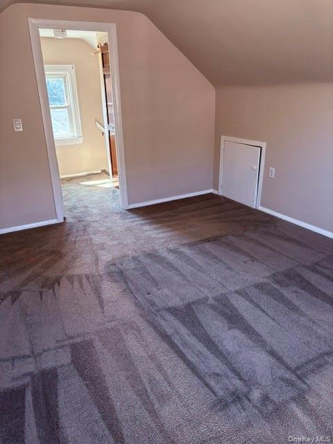Single Family Alpha Street  Nassau County, NY 11003, MLS-1038196-13