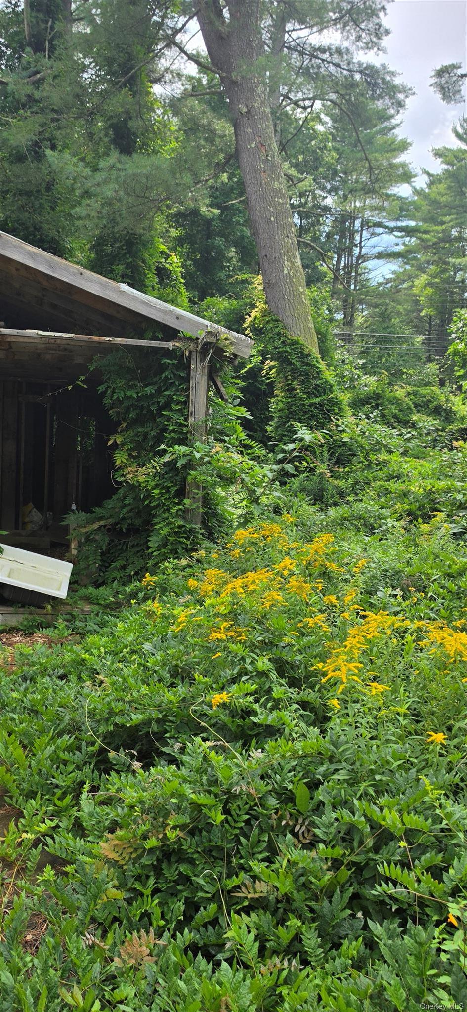 Single Family State Route 97 Sullivan County, NY 12764, MLS-1038327-11