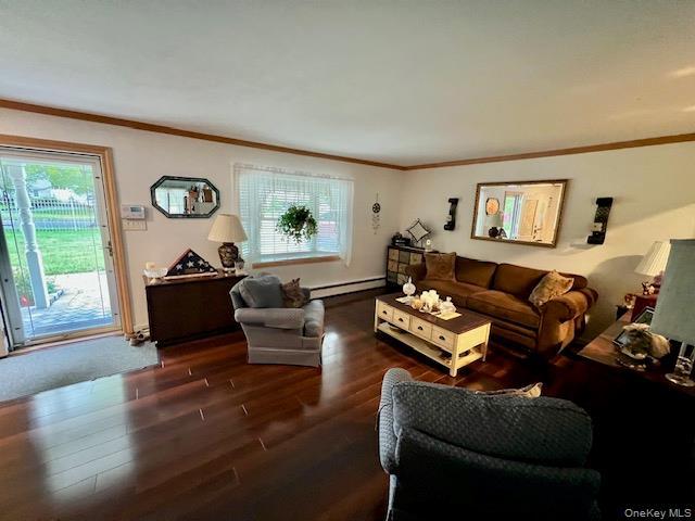 Single Family Cedar Avenue Suffolk County, NY 11727, MLS-1038353-12