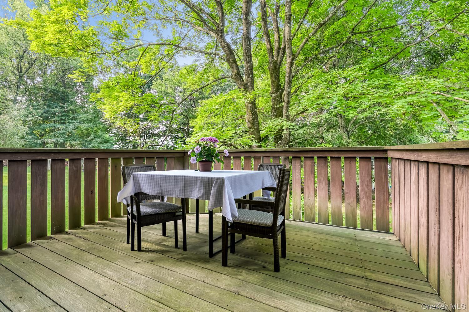 Single Family S Parker Drive  Rockland County, NY 10952, MLS-1038420-5
