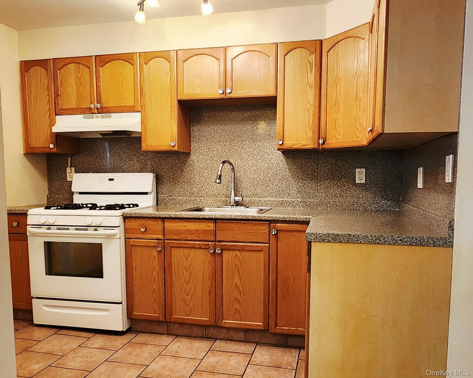 Single Family Admiral Avenue  Queens, NY 11379, MLS-1038429-8