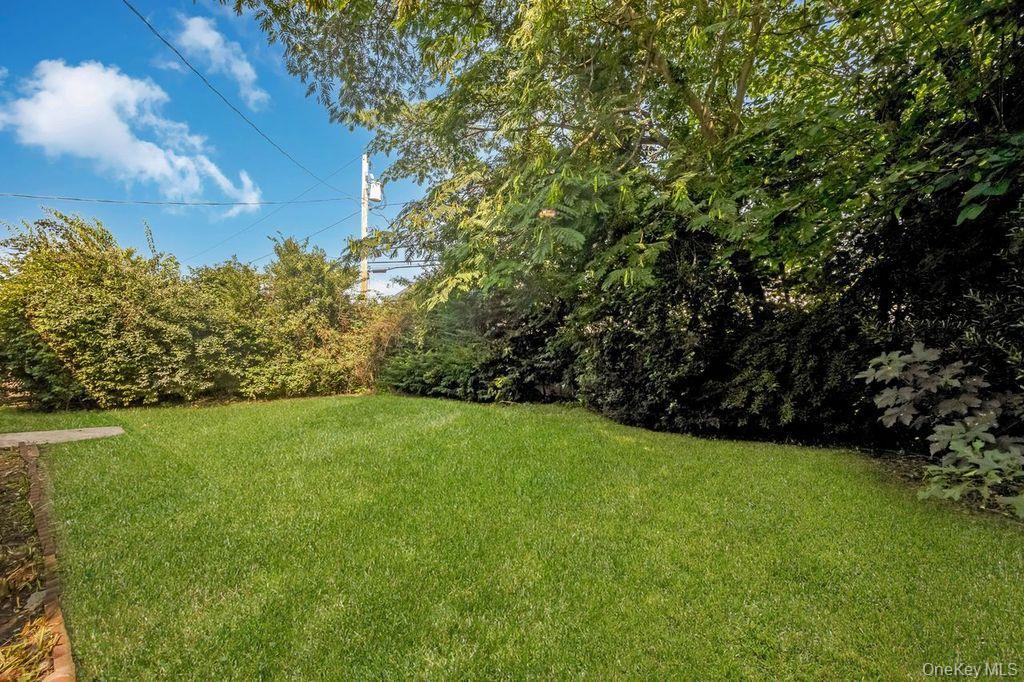 Single Family Twin Lane N  Nassau County, NY 11793, MLS-1038493-21