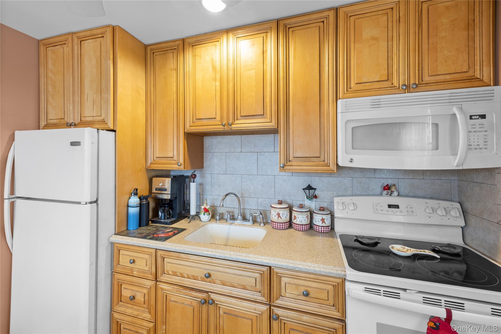 Single Family Book Lane Nassau County, NY 11756, MLS-1038510-3