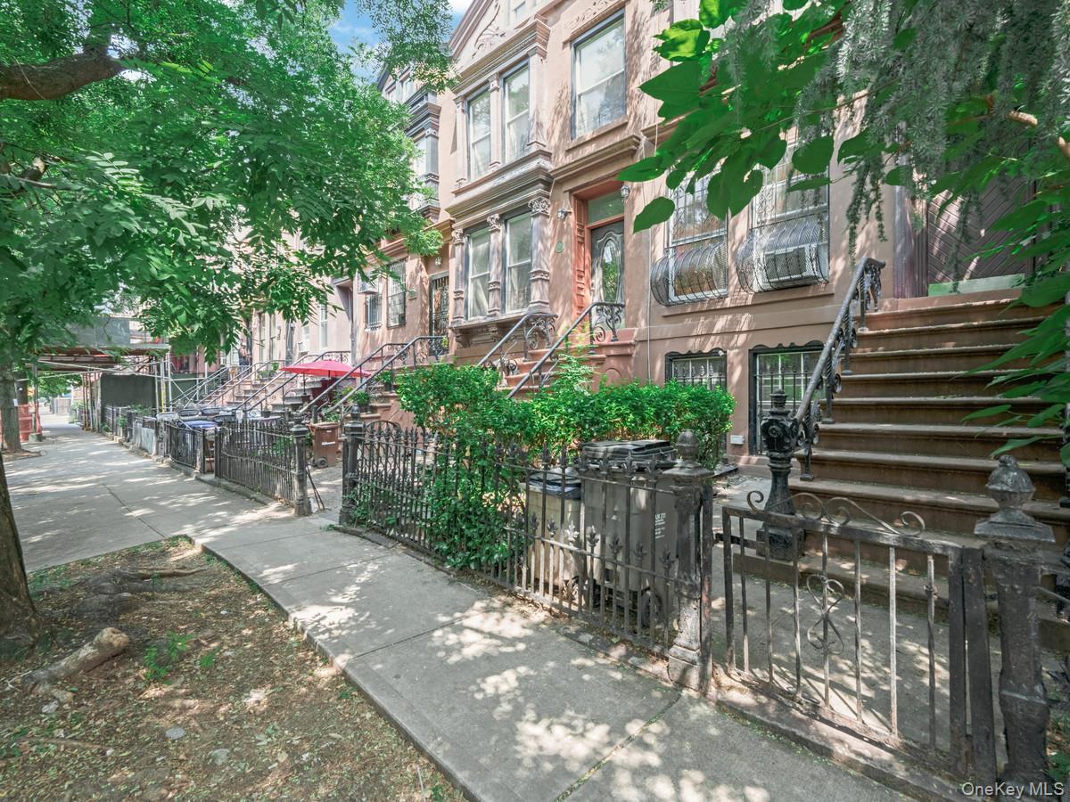 Single Family Greene Avenue Brooklyn, NY 11221, MLS-1038528-3