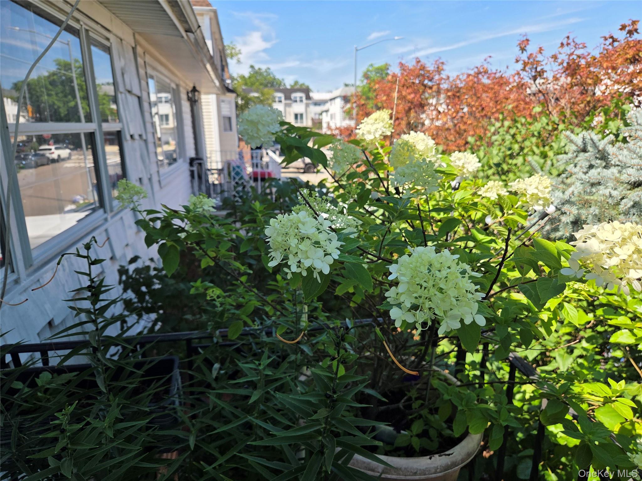 Single Family 216th Street Queens, NY 11360, MLS-1038561-16