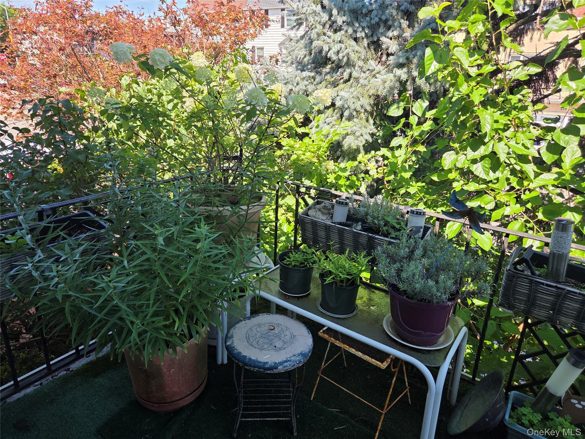 Single Family 216th Street Queens, NY 11360, MLS-1038561-17