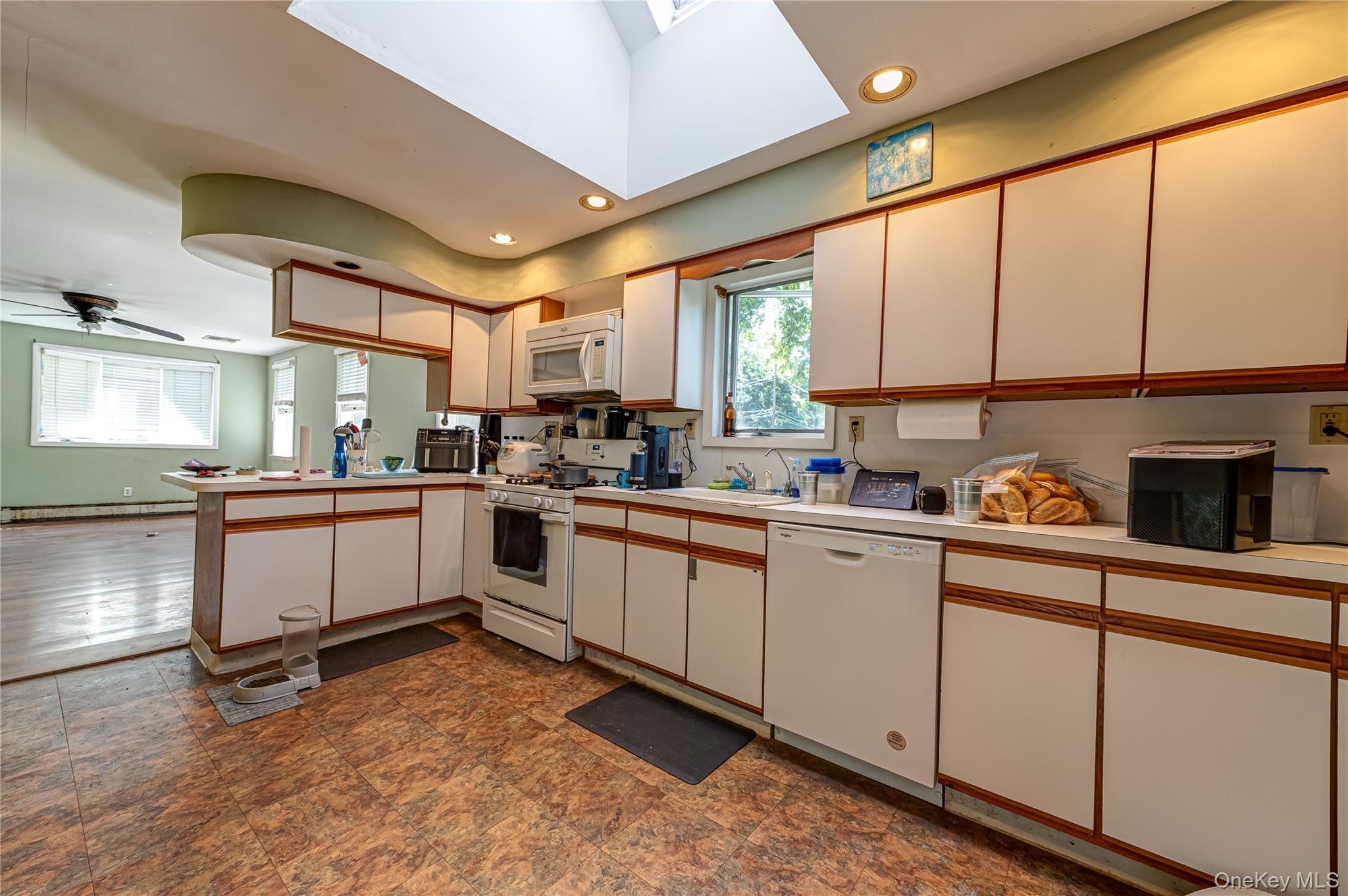 Single Family Cedar Avenue Suffolk County, NY 11779, MLS-1038578-10