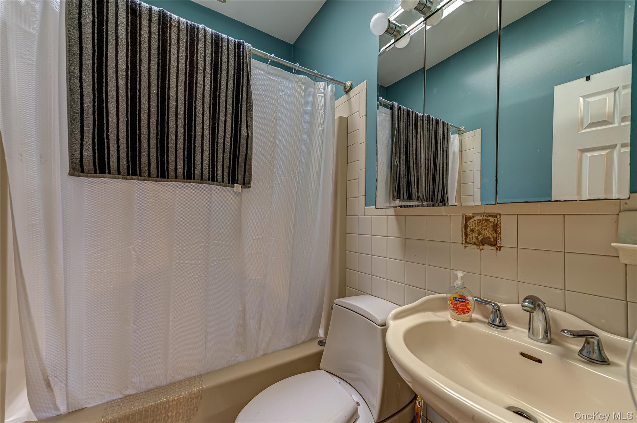Single Family Cedar Avenue Suffolk County, NY 11779, MLS-1038578-13