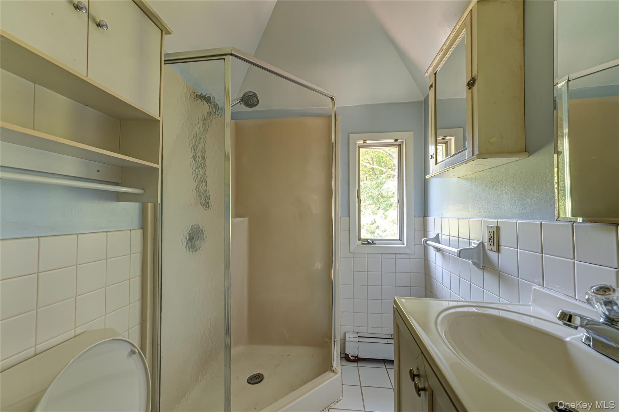 Single Family Cedar Avenue Suffolk County, NY 11779, MLS-1038578-18