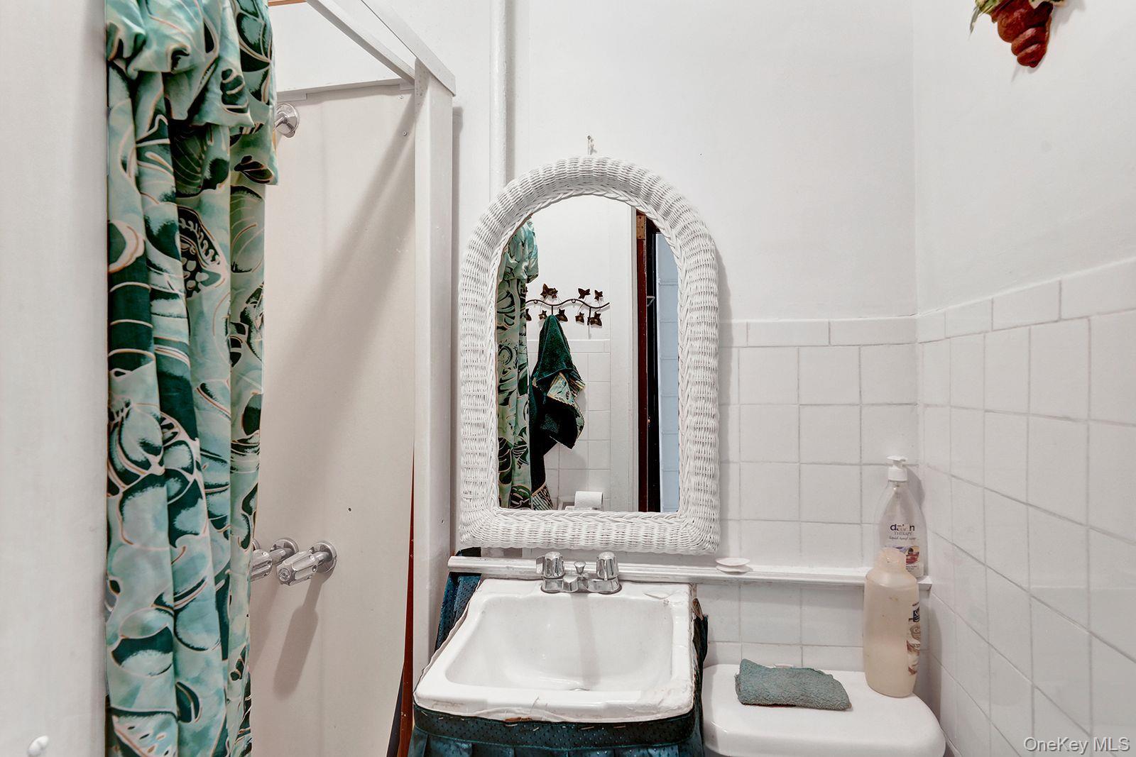 Single Family 47th Street Brooklyn, NY 11220, MLS-1038580-7