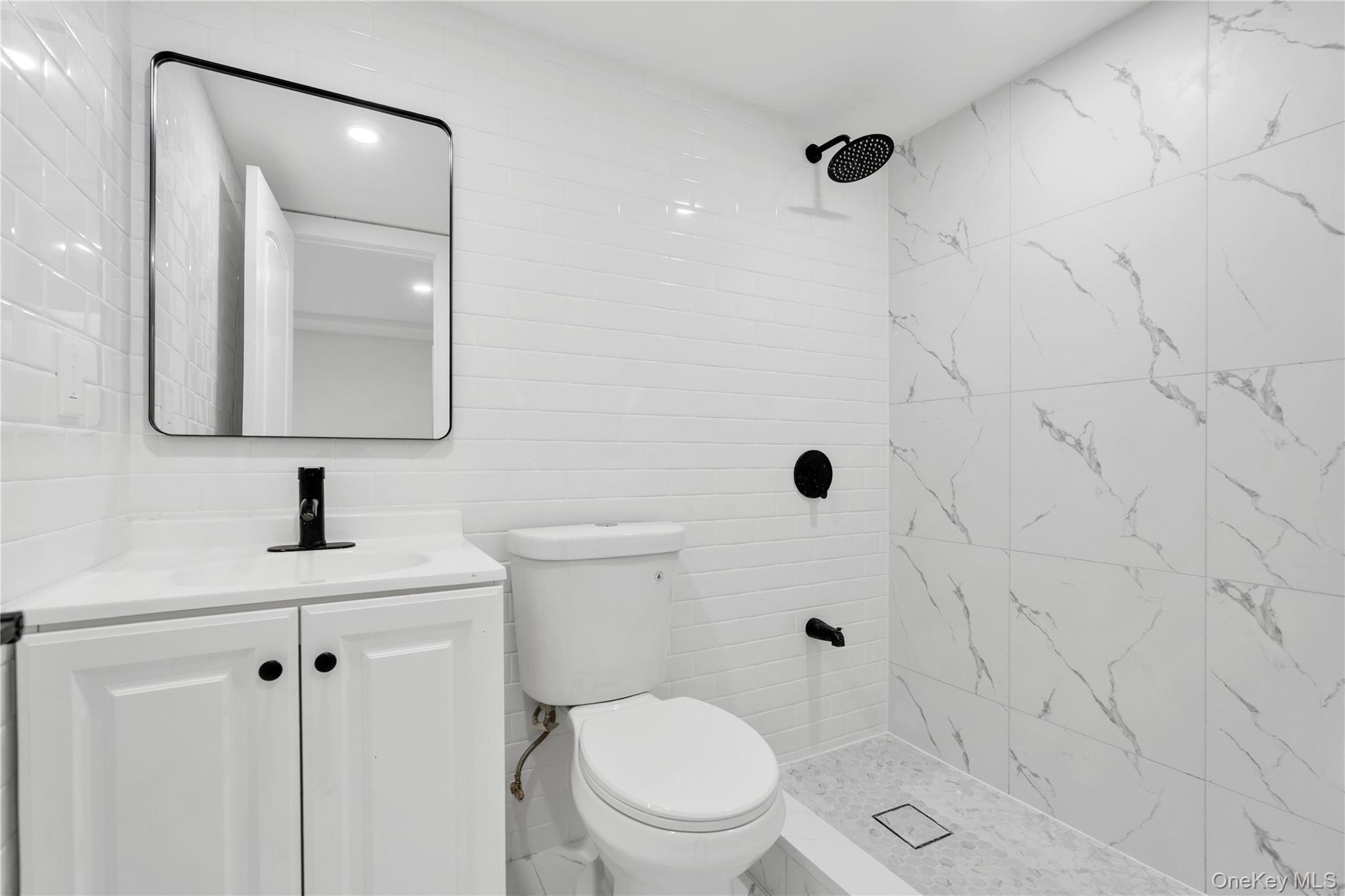 Single Family Schenck Avenue Brooklyn, NY 11207, MLS-1038581-12