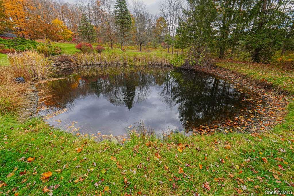 Single Family Arcadia Road Orange County, NY 10924, MLS-1038634-39