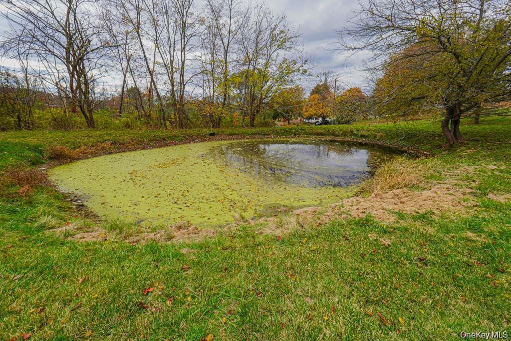 Single Family Arcadia Road  Orange County, NY 10924, MLS-1038634-43