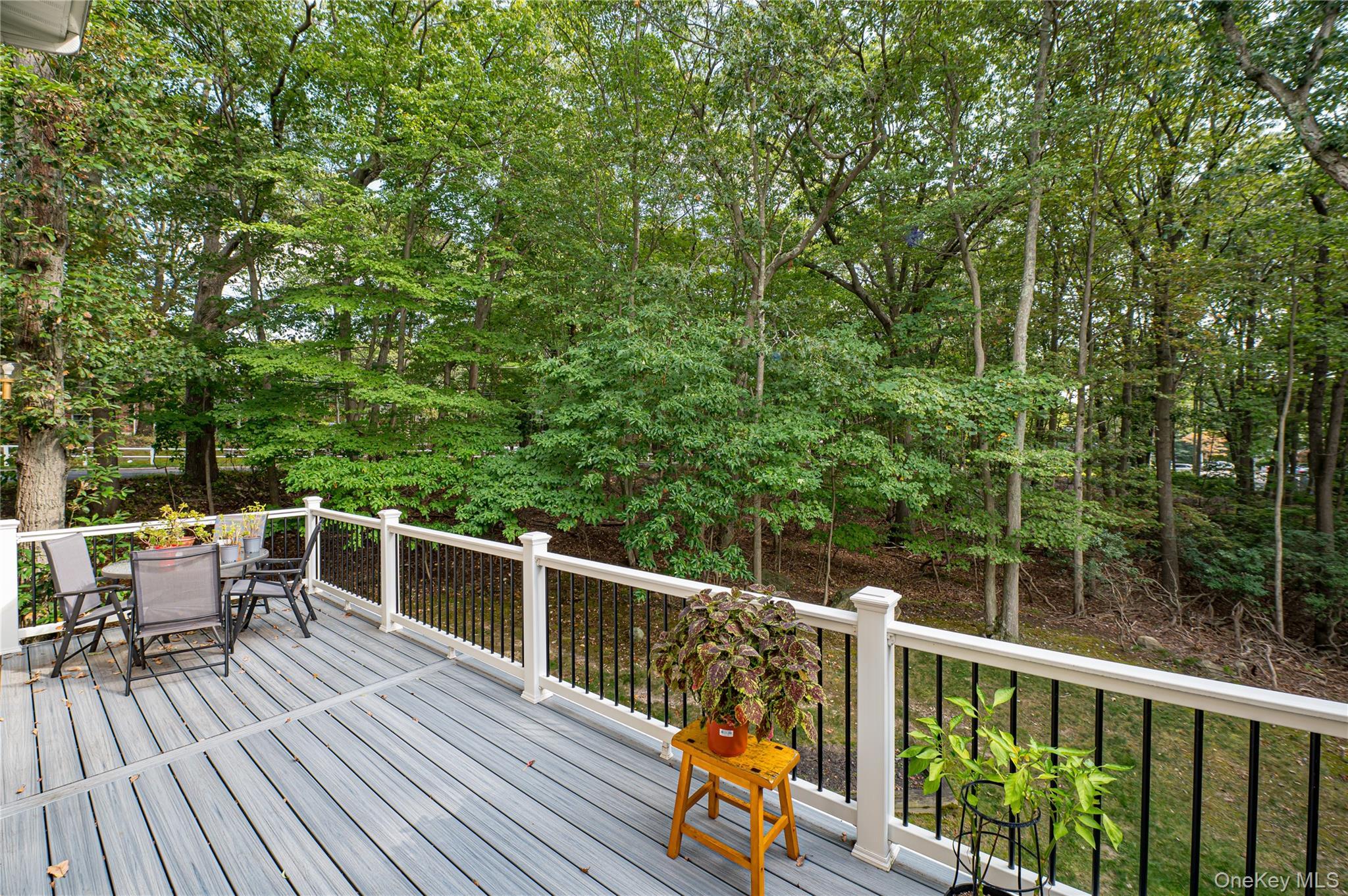Single Family Princess Tree Court Suffolk County, NY 11777, MLS-1038668-16