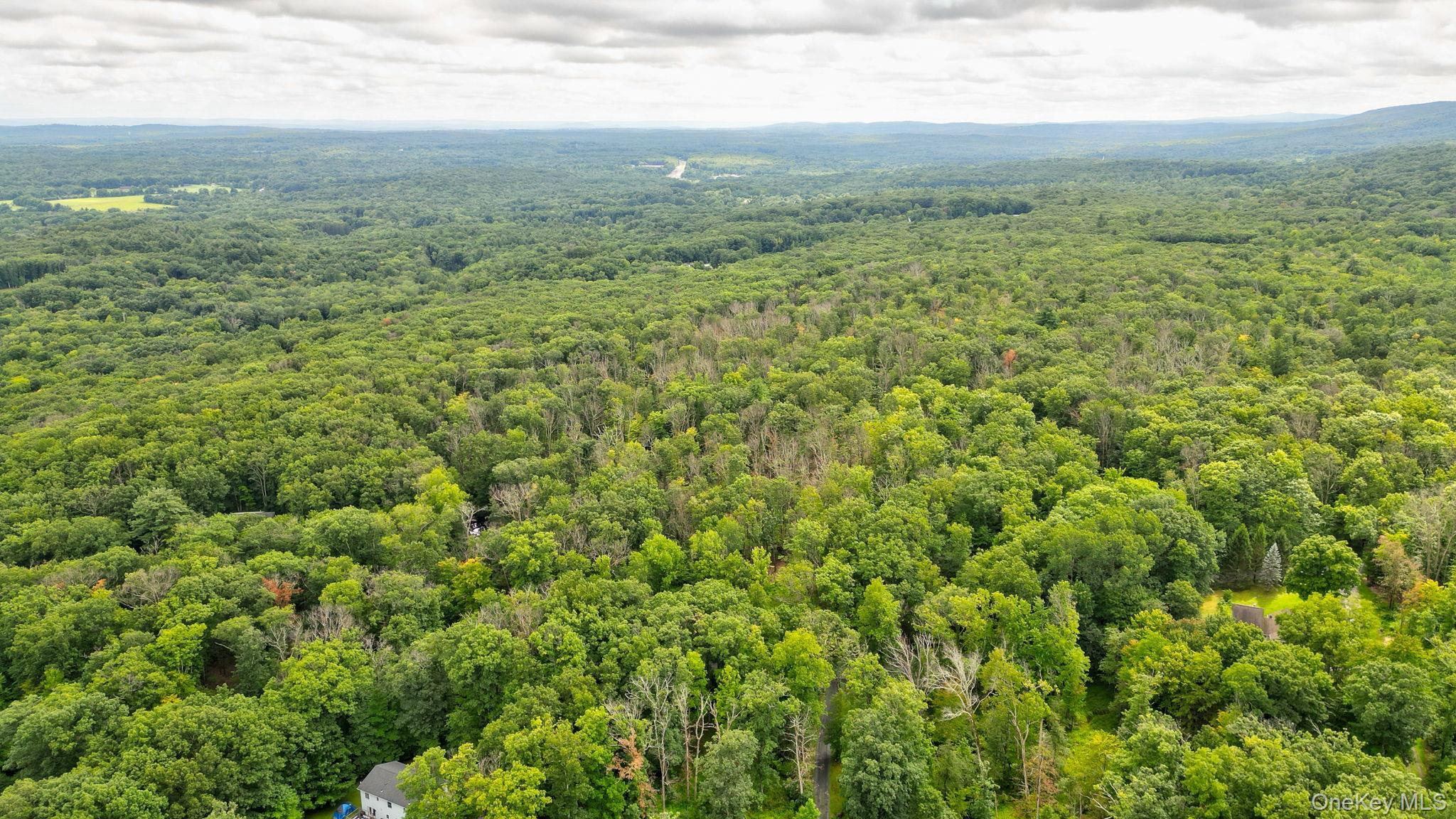 Single Family Pantelop Road Sullivan County, NY 12790, MLS-1038721-3
