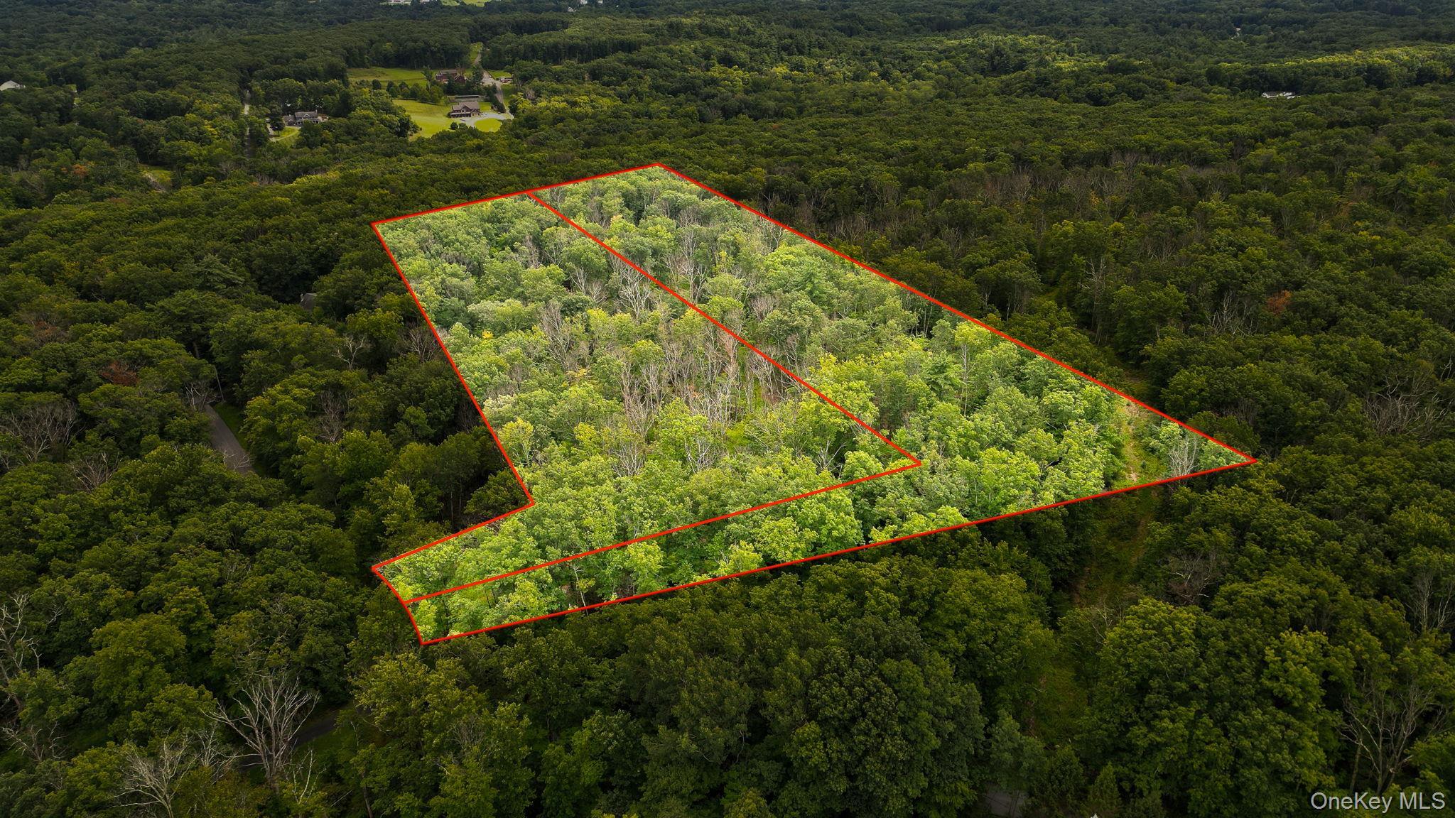 Single Family Pantelop Road Sullivan County, NY 12790, MLS-1038721-4