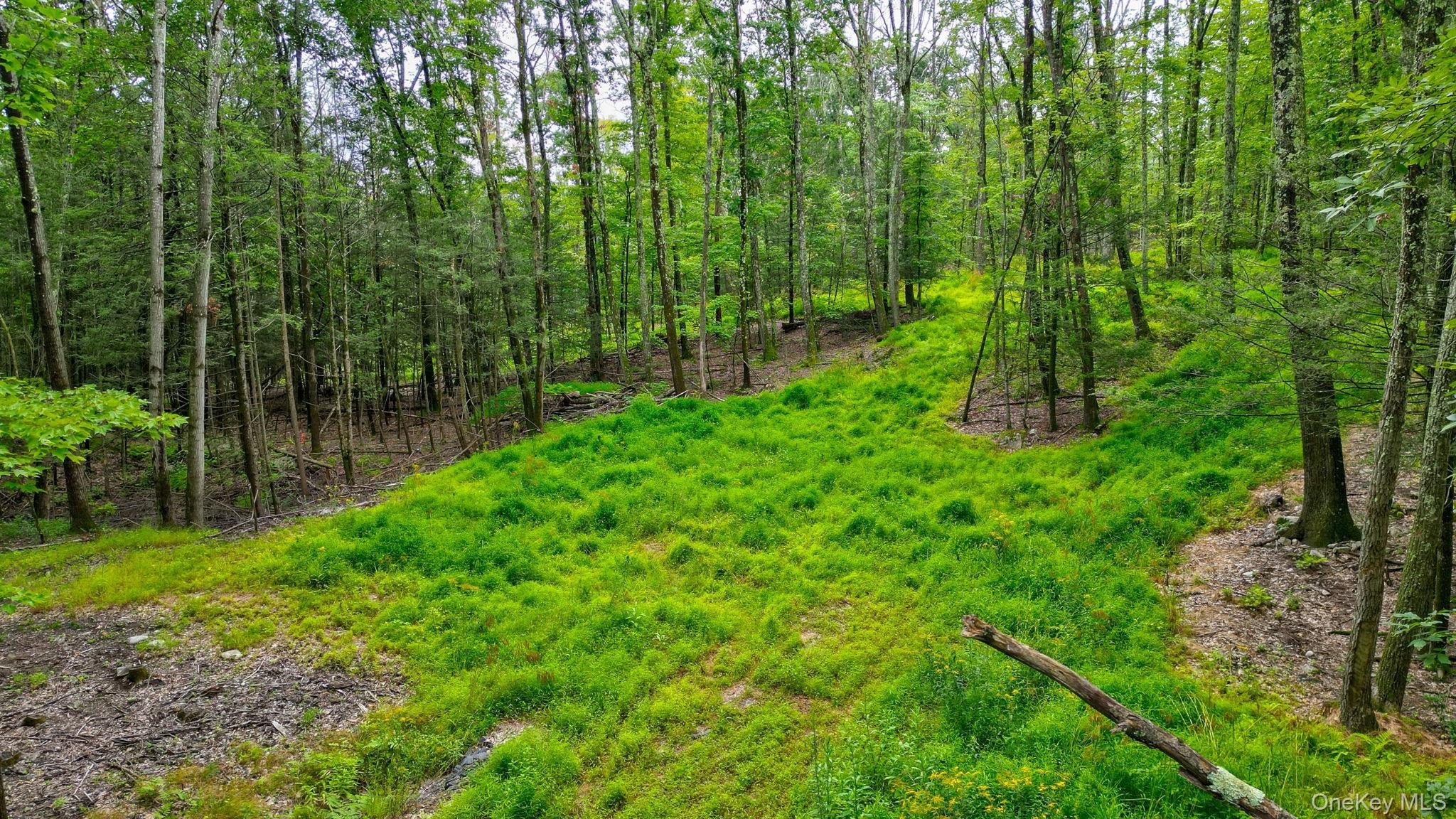 Single Family Pantelop Road Sullivan County, NY 12790, MLS-1038721-5