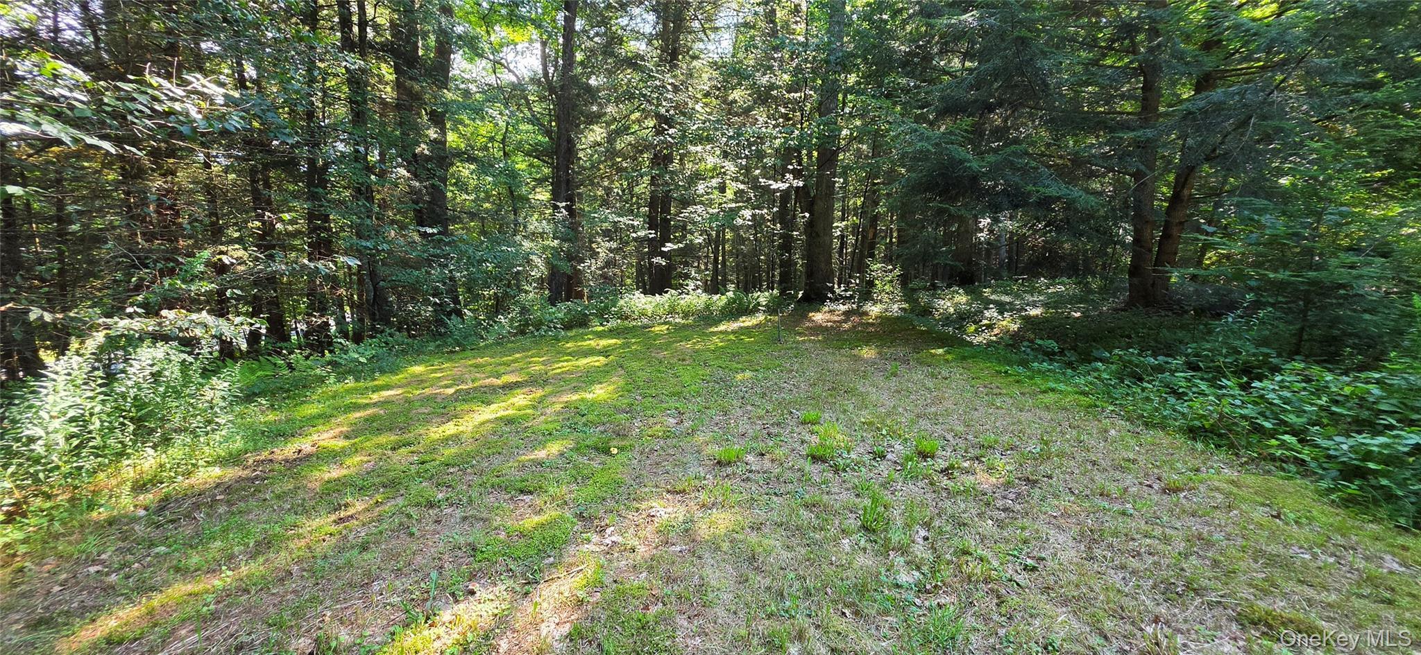 Single Family Nys 52 Sullivan County, NY 12764, MLS-1038727-17