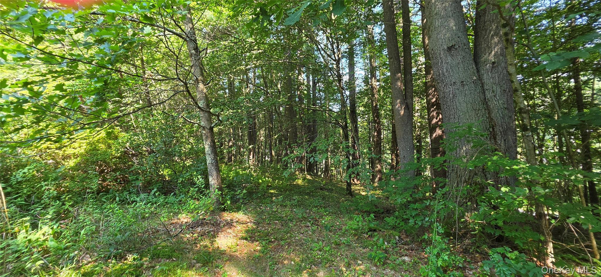 Single Family Nys 52 Sullivan County, NY 12764, MLS-1038727-18