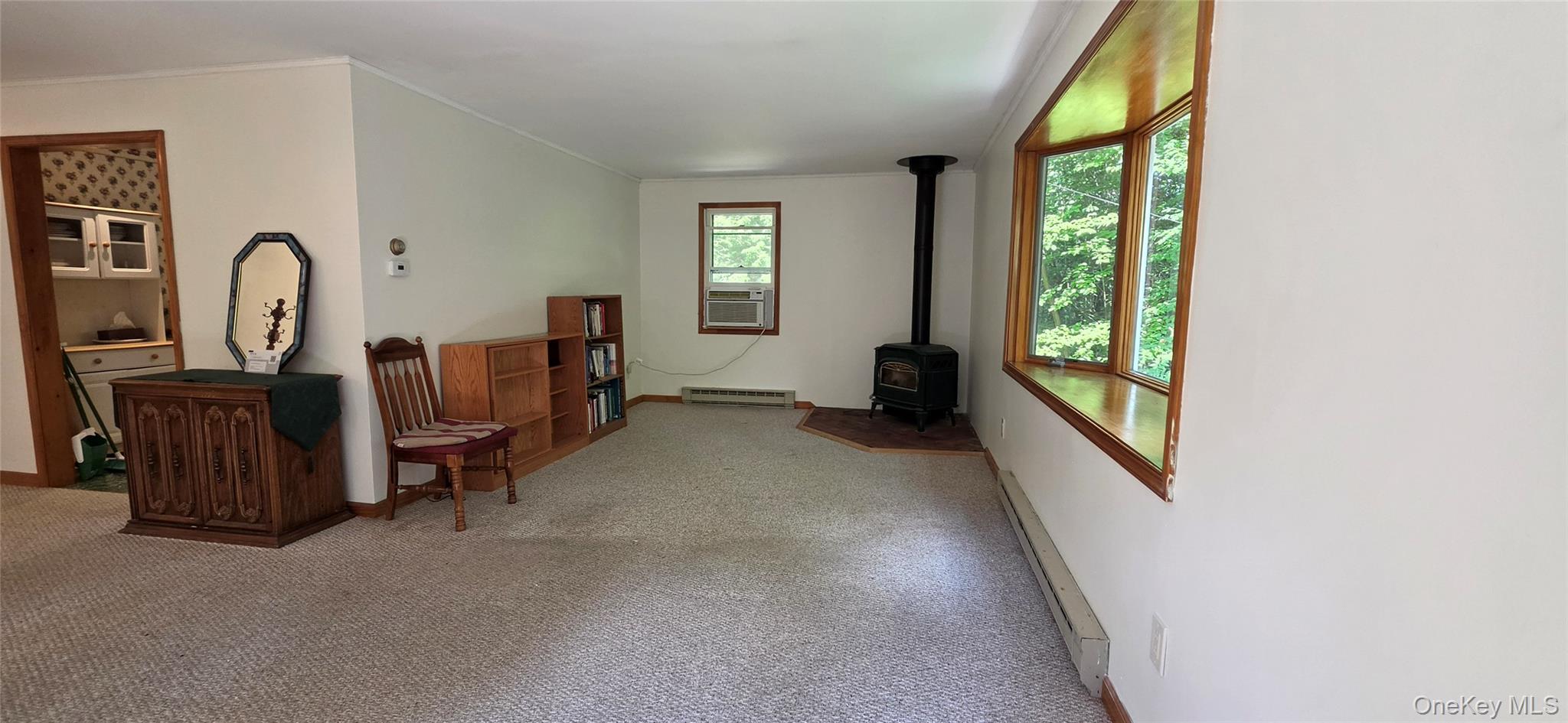 Single Family Nys 52 Sullivan County, NY 12764, MLS-1038727-22