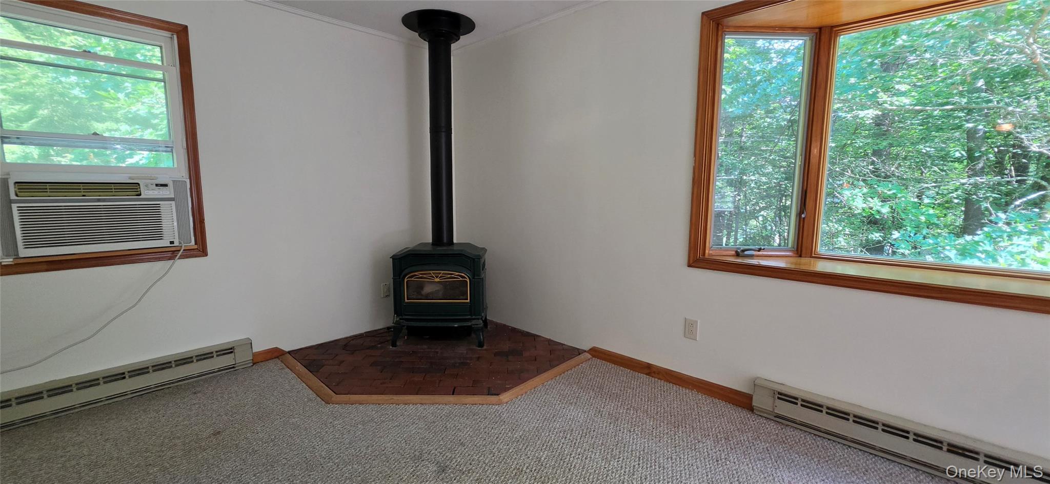 Single Family Nys 52 Sullivan County, NY 12764, MLS-1038727-25