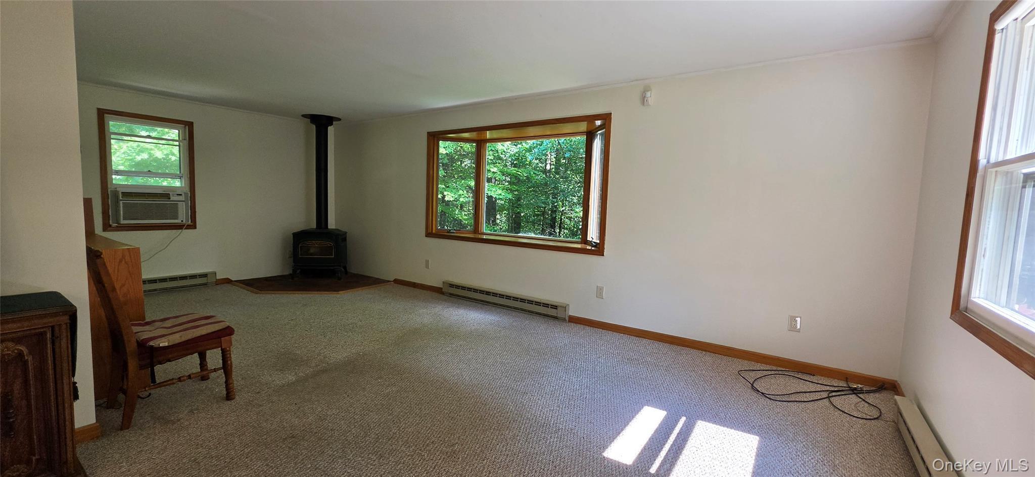 Single Family Nys 52 Sullivan County, NY 12764, MLS-1038727-26