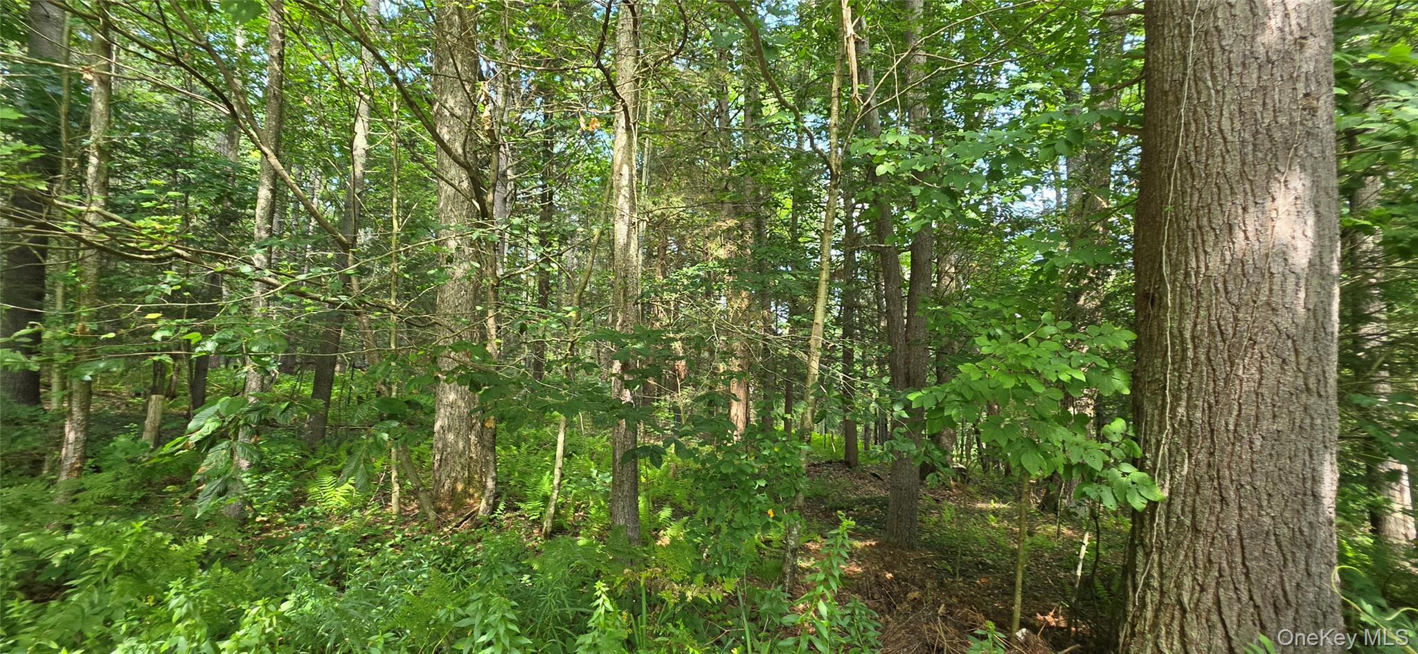 Single Family Nys 52 Sullivan County, NY 12764, MLS-1038727-8