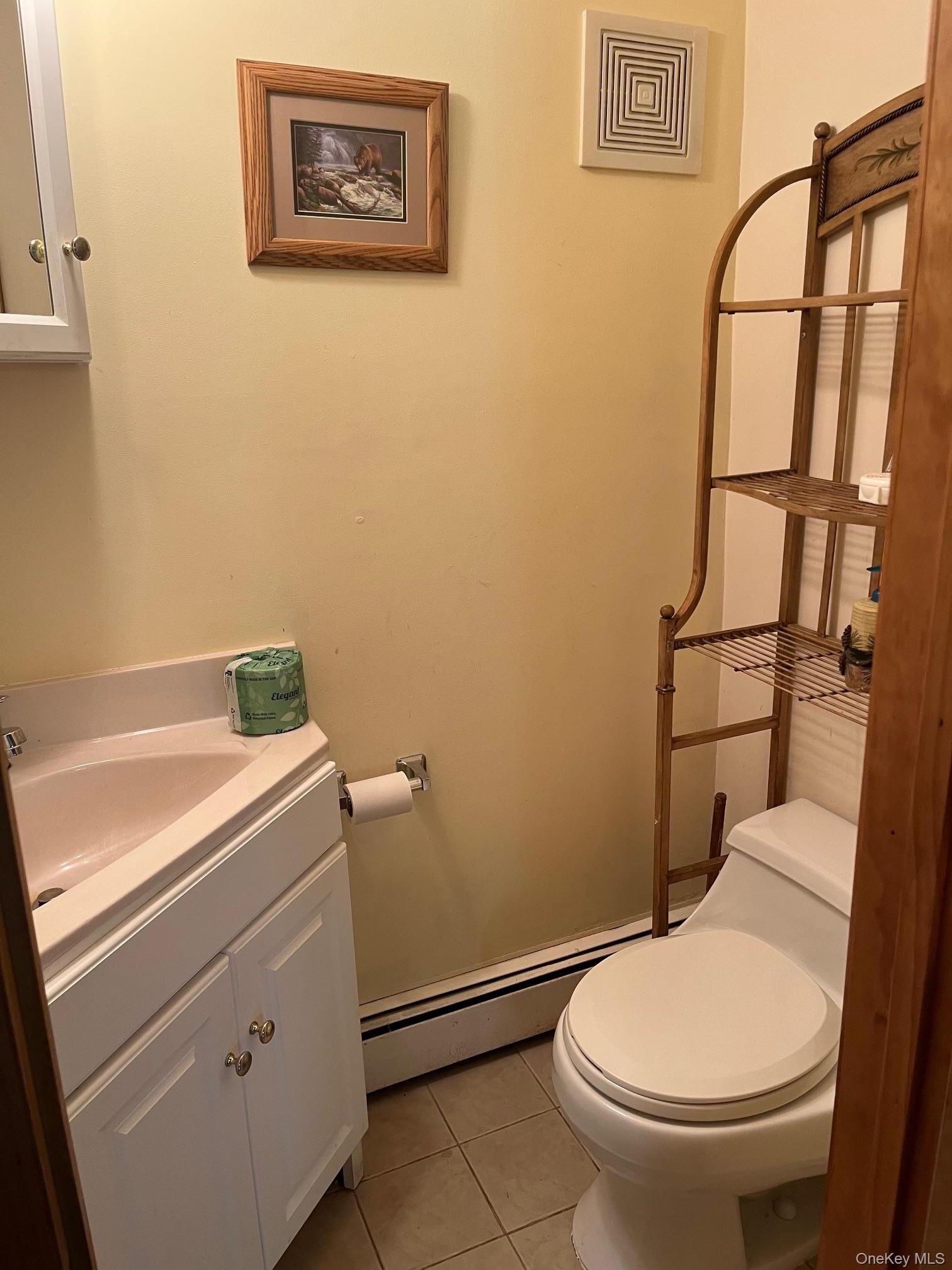 Single Family State Highway 28  Delaware County, NY 12455, MLS-1038731-13
