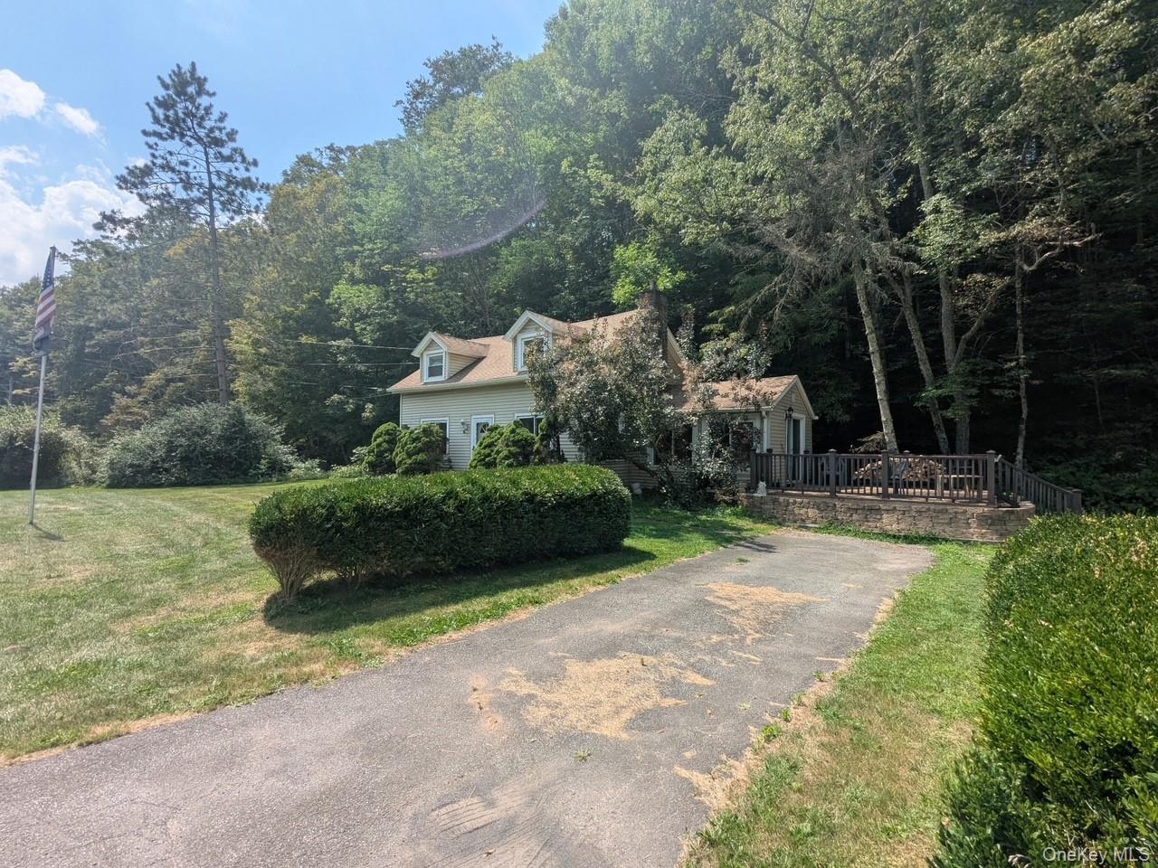 Single Family State Highway 28  Delaware County, NY 12455, MLS-1038731-2
