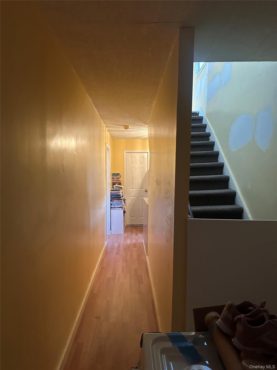 Single Family Pinegrove Street Queens, NY 11435, MLS-1038753-3