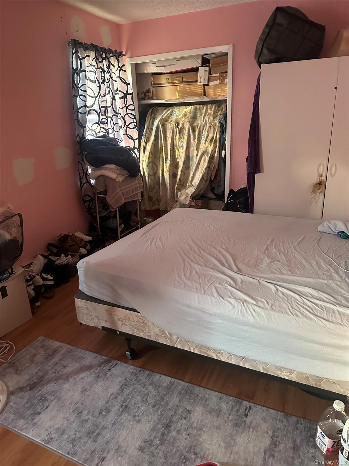 Single Family Pinegrove Street Queens, NY 11435, MLS-1038753-4