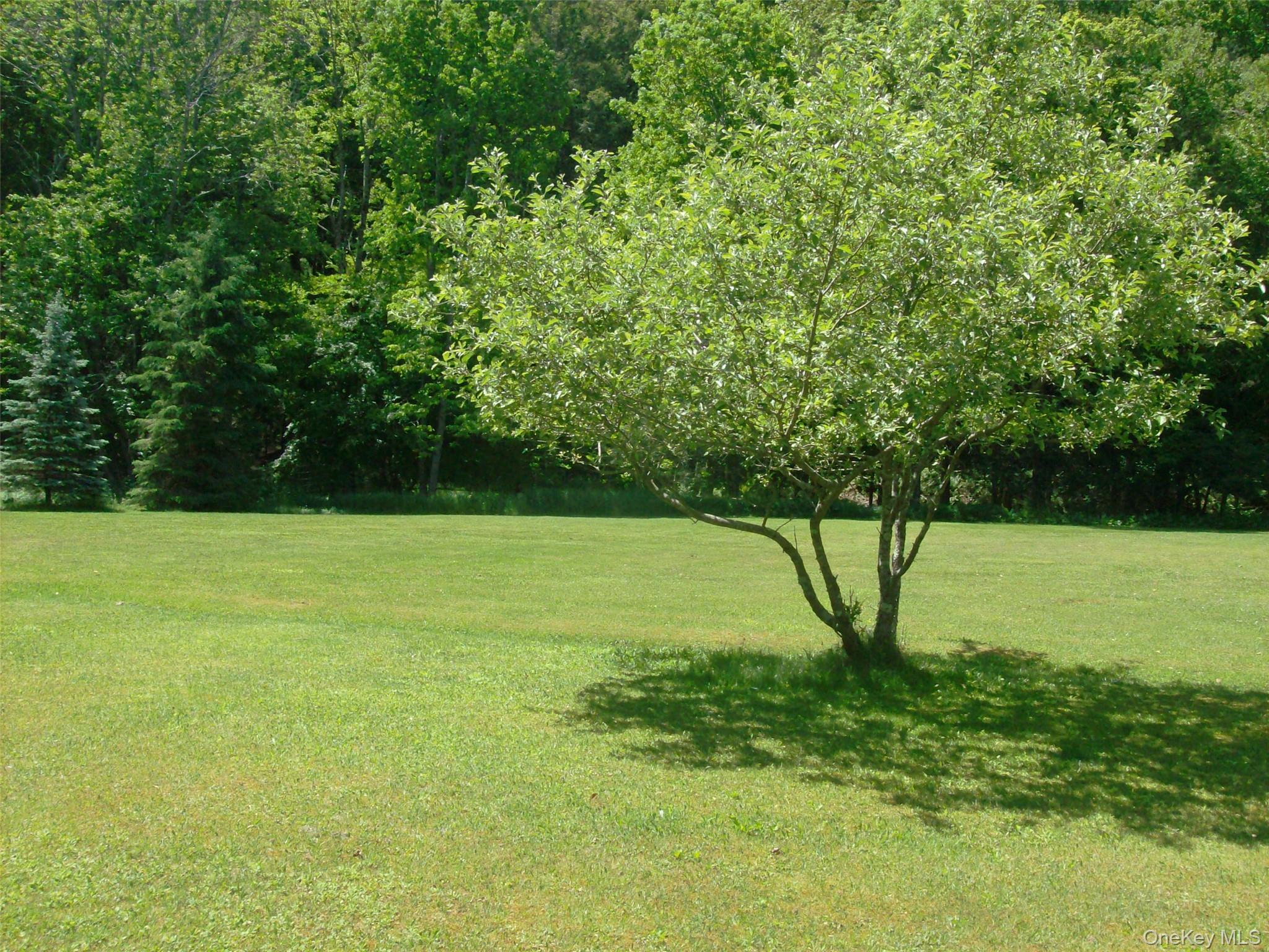 Single Family Riverside Drive Sullivan County, NY 12776, MLS-1038795-24