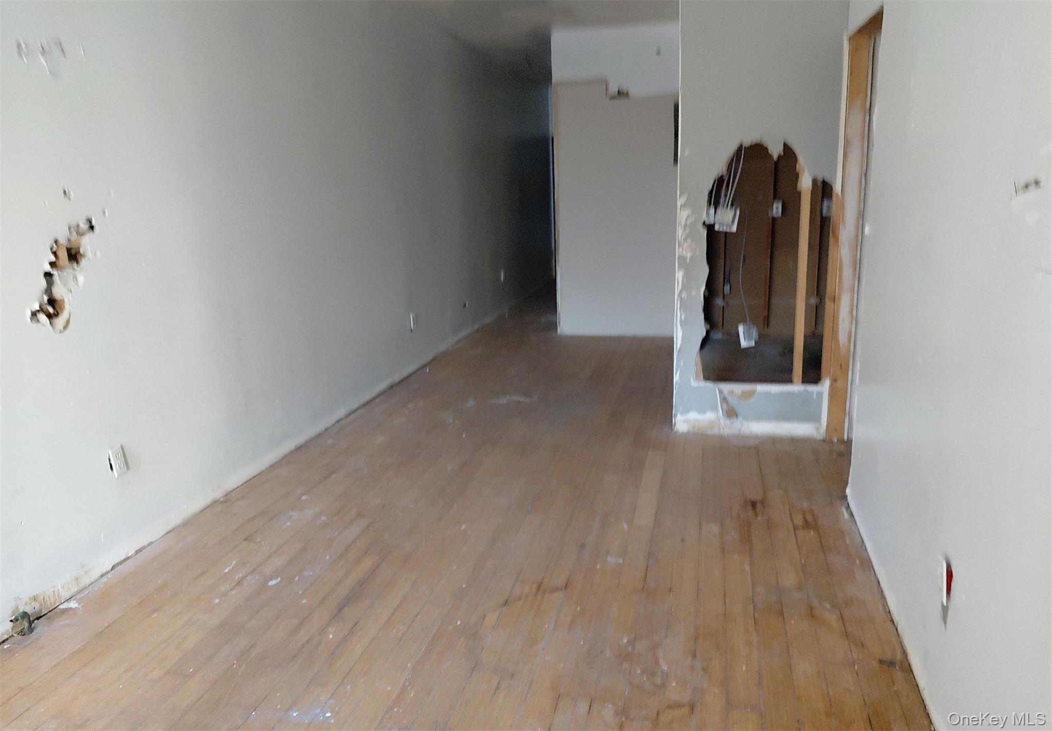 Single Family Park Place  Brooklyn, NY 11213, MLS-1038796-9