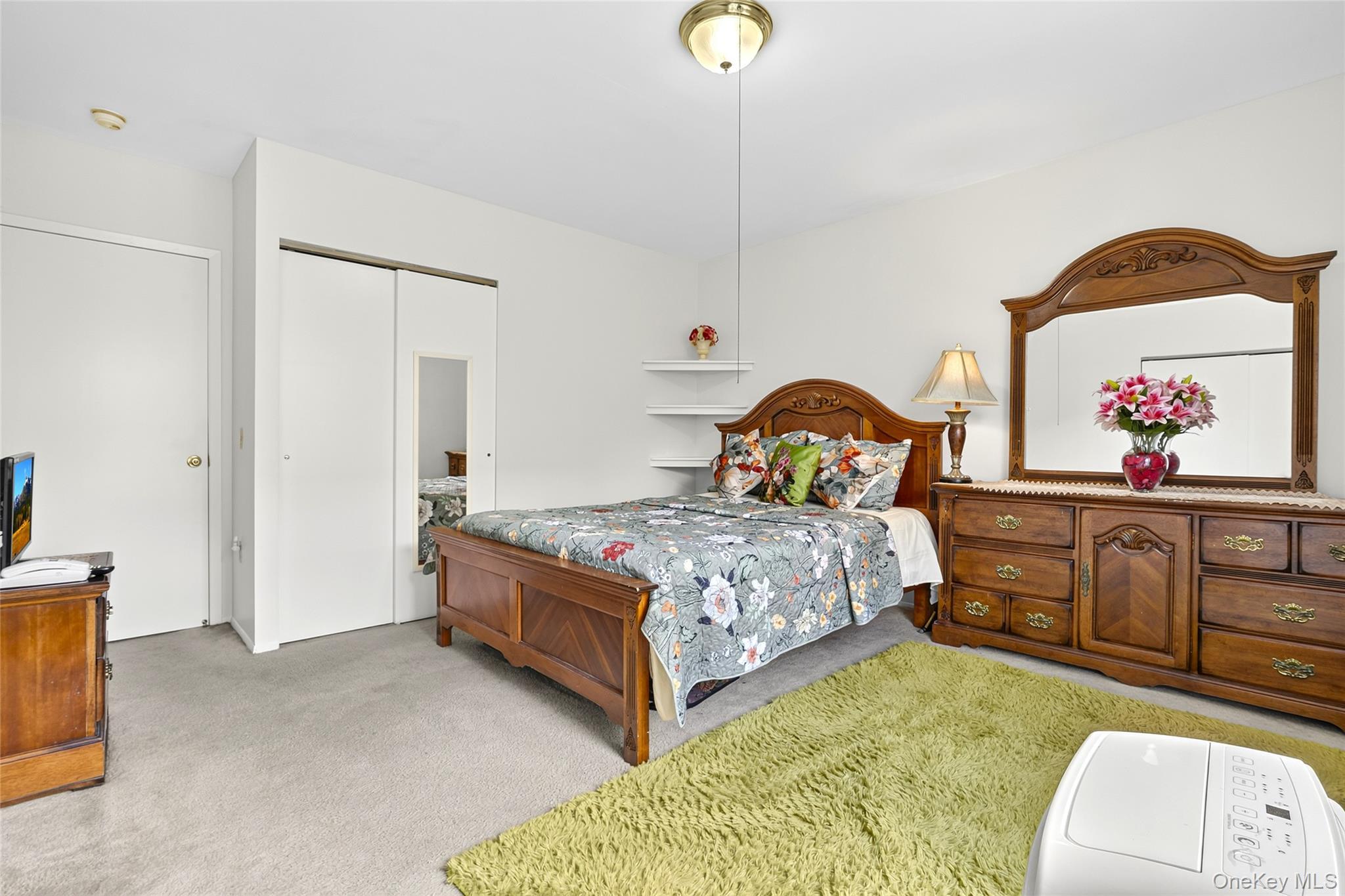 Single Family Hinsdale Street  Brooklyn, NY 11207, MLS-1038906-12