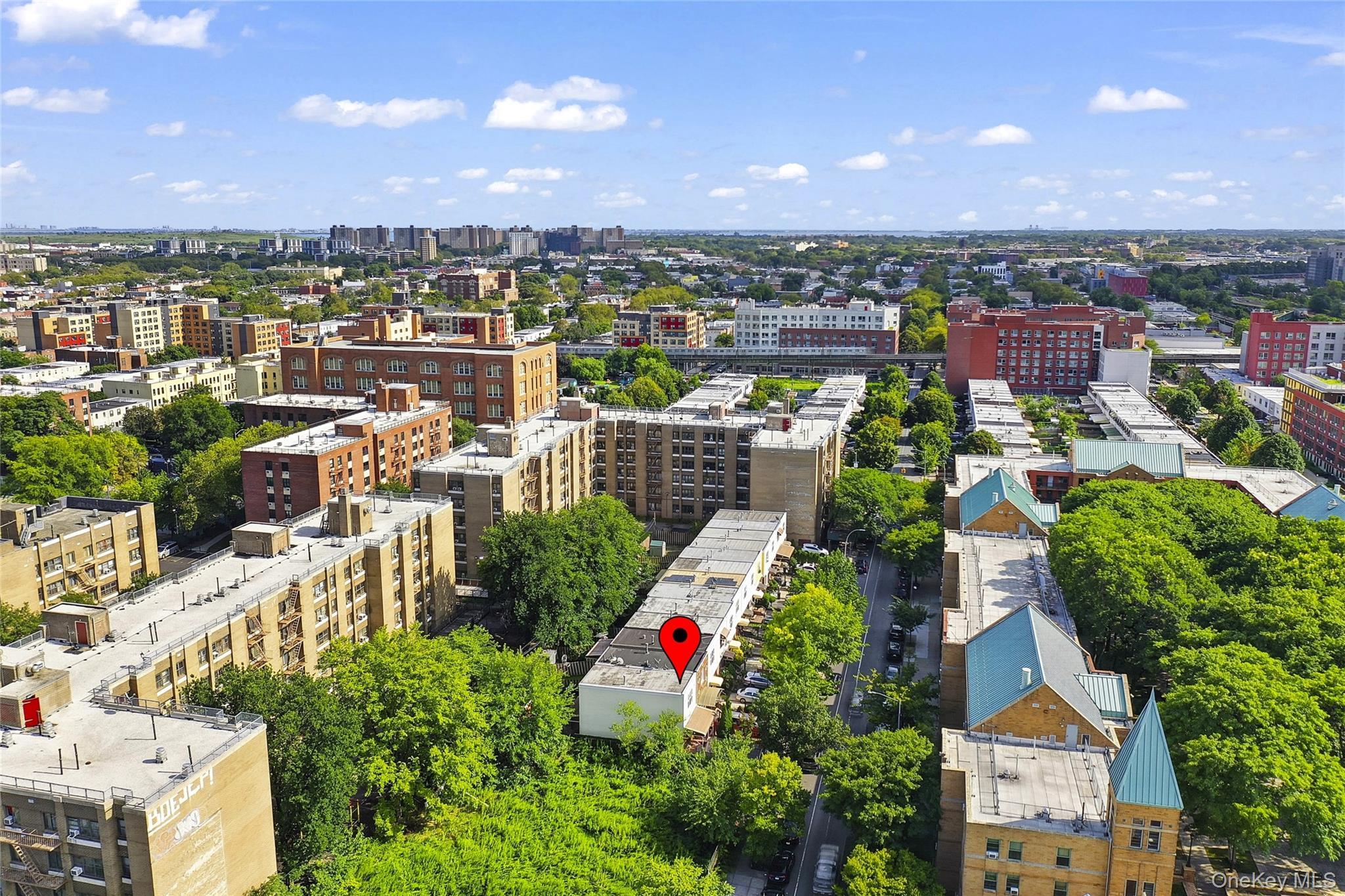 Single Family Hinsdale Street  Brooklyn, NY 11207, MLS-1038906-4
