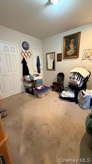 Single Family Broadway  Suffolk County, NY 11743, MLS-1038977-21