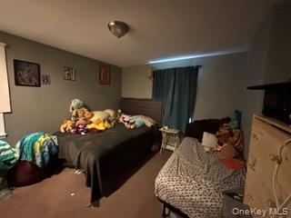 Single Family Broadway  Suffolk County, NY 11743, MLS-1038977-26