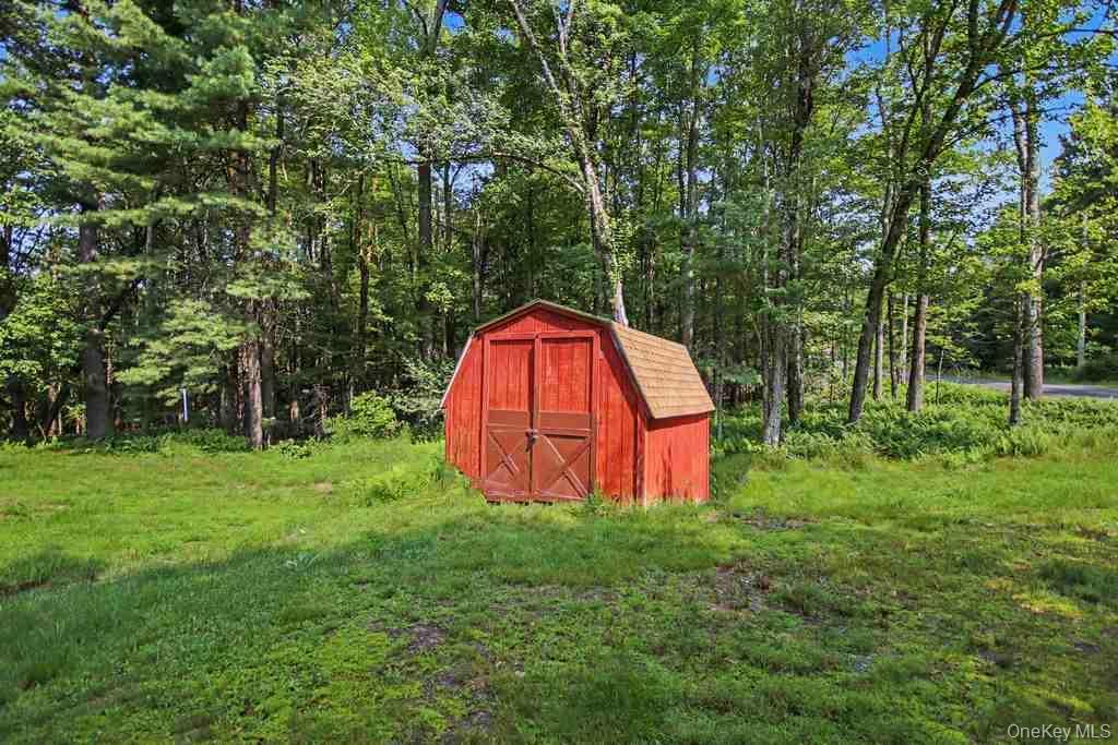 Single Family Pine Grove Road  Sullivan County, NY 12720, MLS-1038995-28