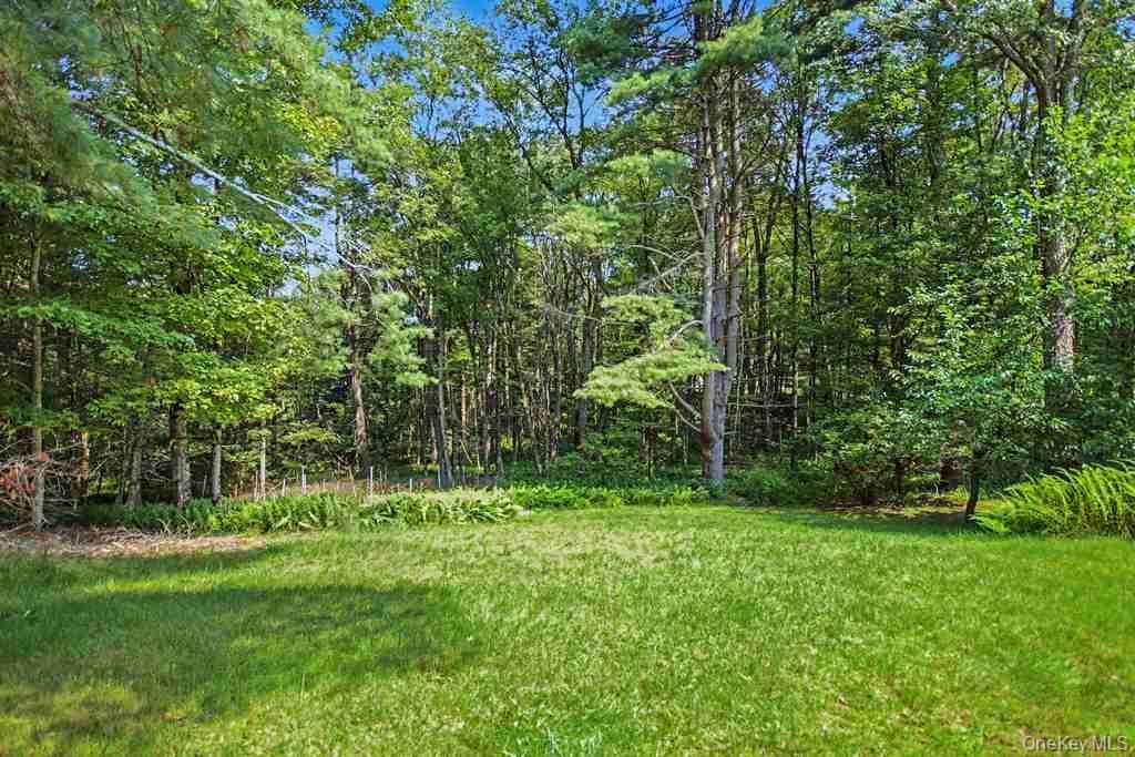 Single Family Pine Grove Road  Sullivan County, NY 12720, MLS-1038995-29