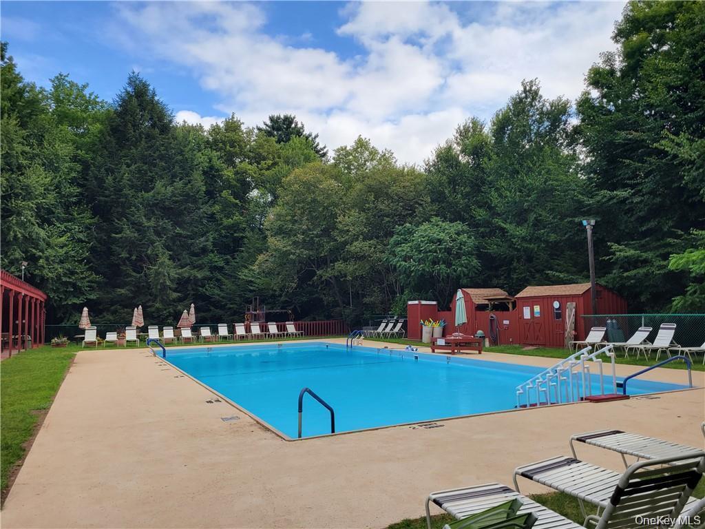 Single Family Pine Grove Road  Sullivan County, NY 12720, MLS-1038995-31