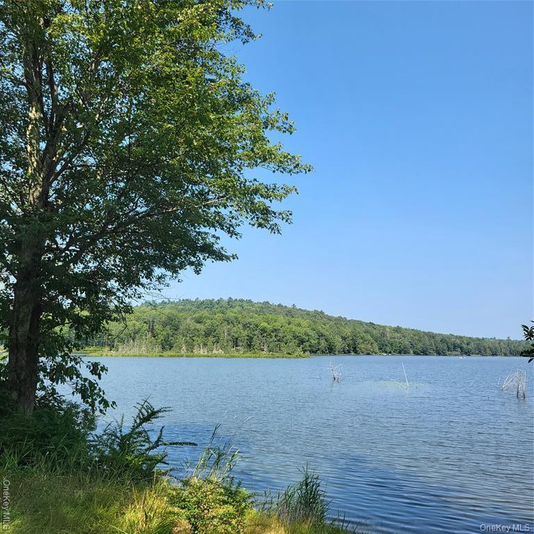 Single Family Pine Grove Road  Sullivan County, NY 12720, MLS-1038995-35