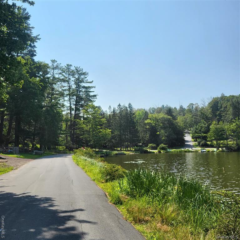 Single Family Pine Grove Road  Sullivan County, NY 12720, MLS-1038995-36