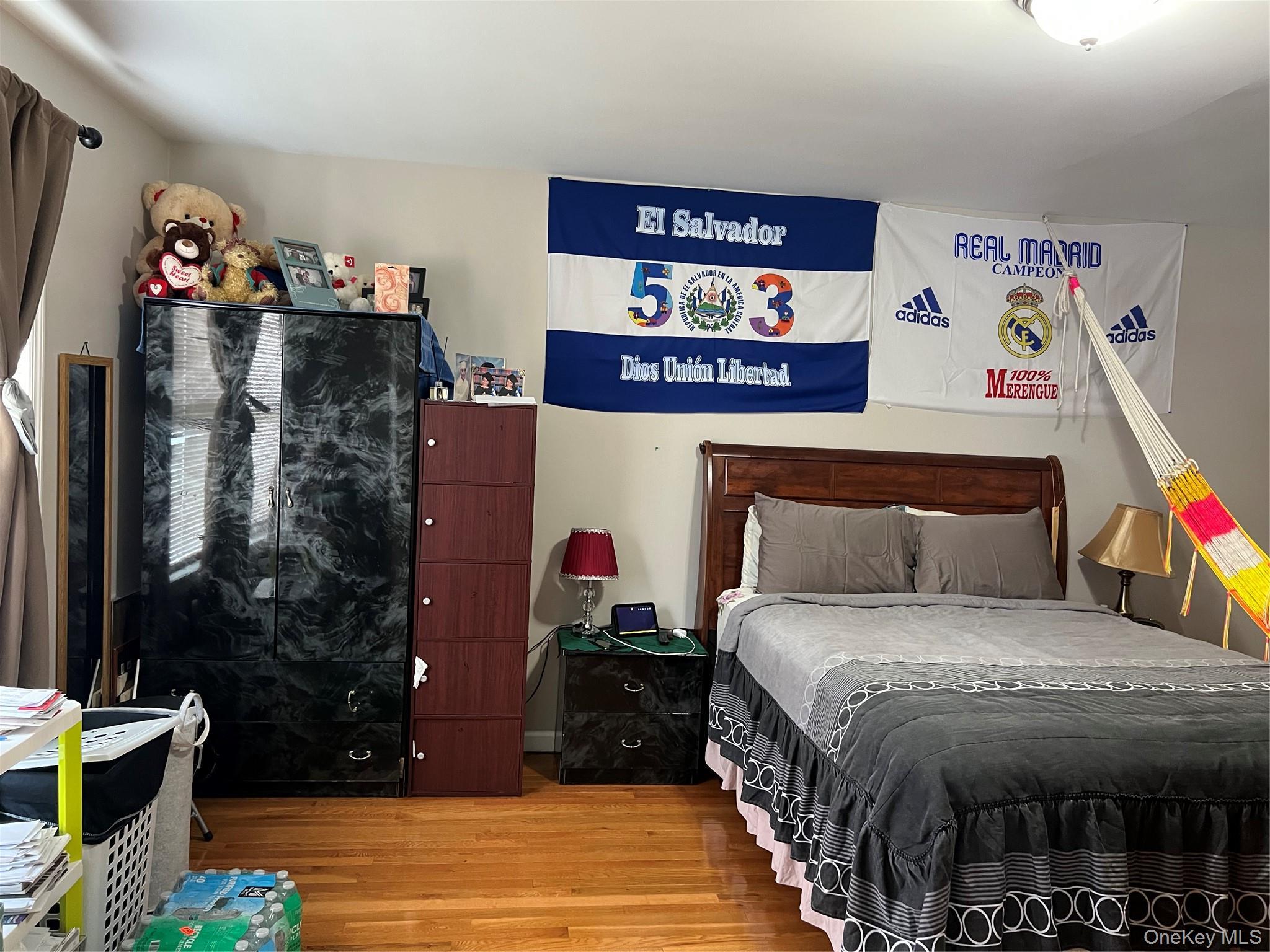 Single Family Albany Avenue Suffolk County, NY 11701, MLS-1039024-4